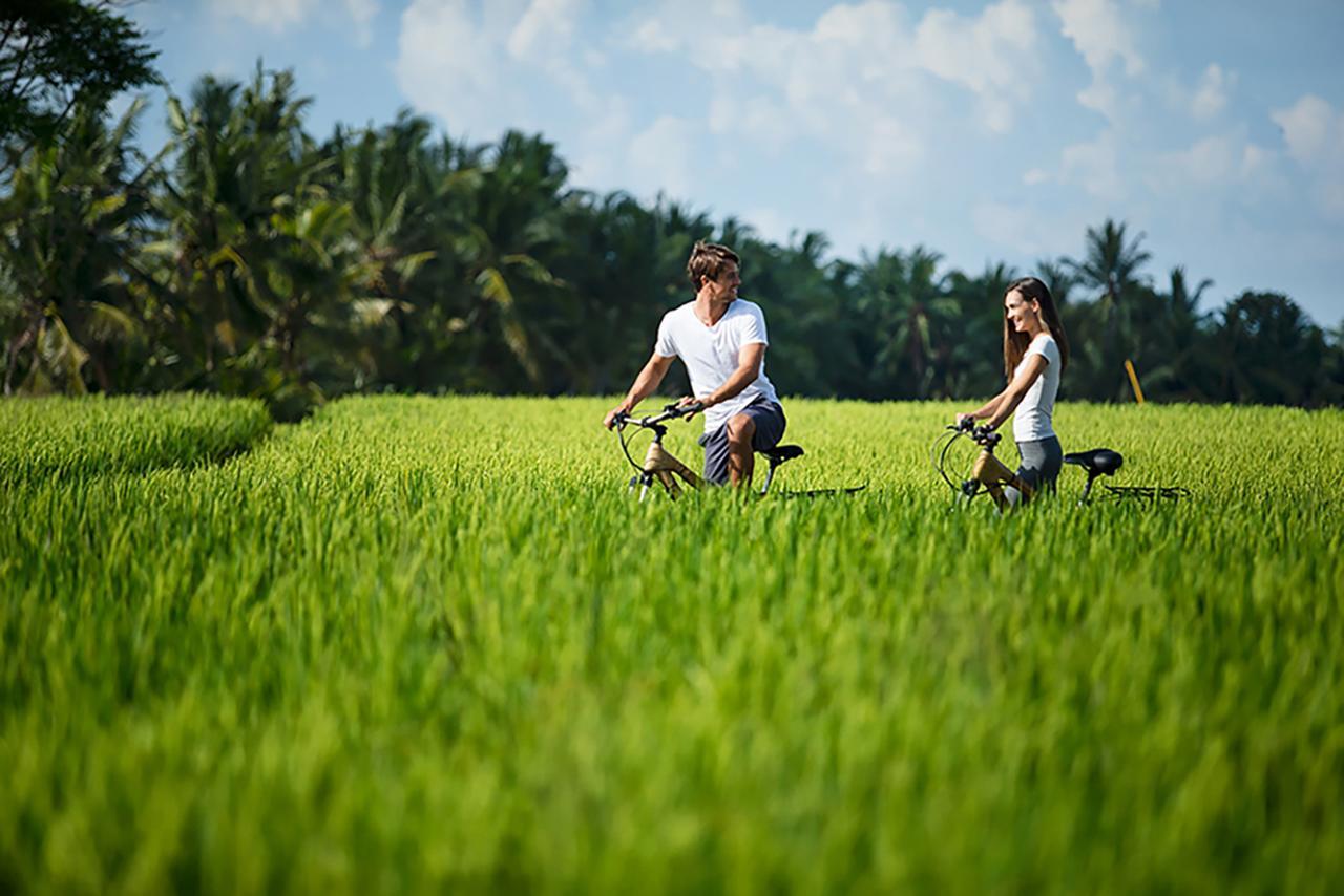 Tanah Gajah, A Resort By Hadiprana Ubud Zewnętrze zdjęcie
